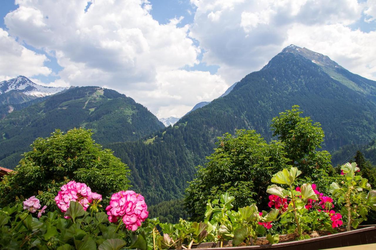 Haus Am Sonnenhang Finkenberg Dış mekan fotoğraf