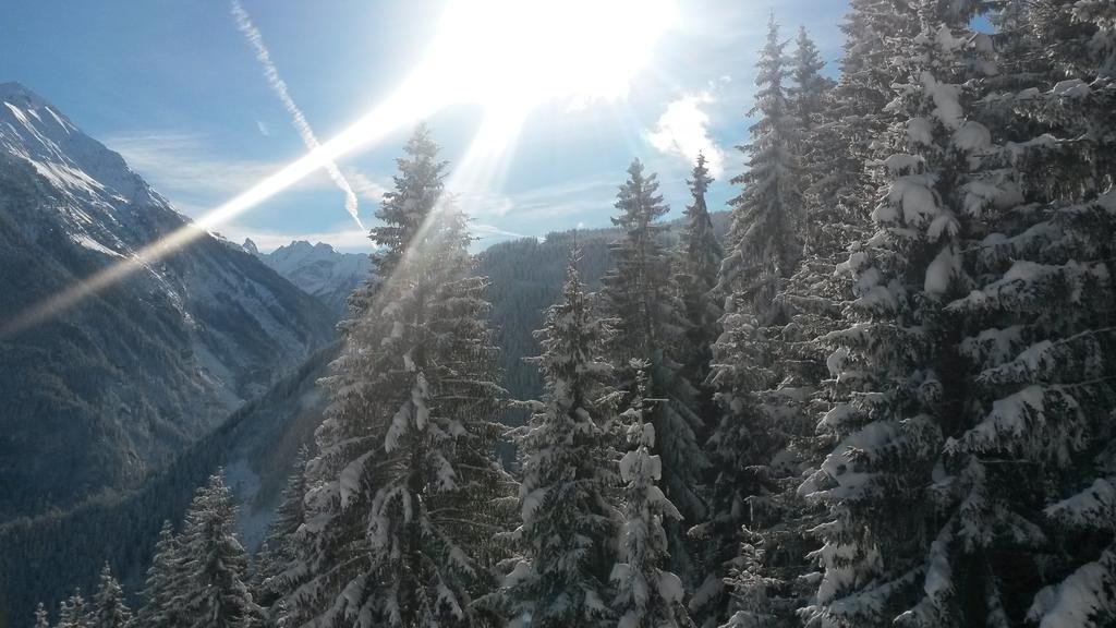 Haus Am Sonnenhang Finkenberg Dış mekan fotoğraf